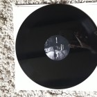 Un vinyl offert par Isabelle et Nathan Verstraete